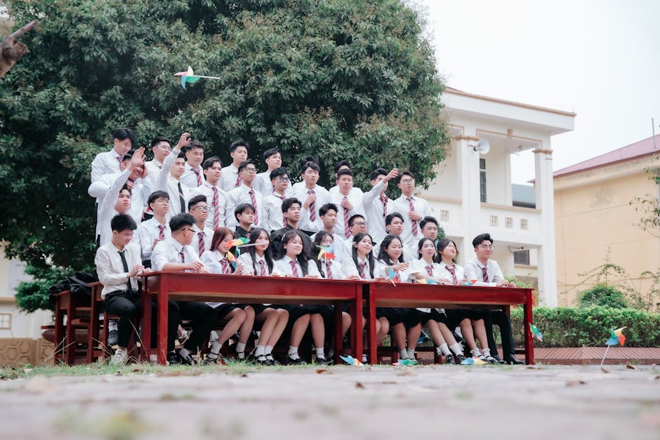 Our professional team